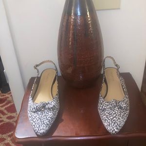 Talbots Flat Women’s Shoes